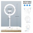 NEEWER RP10-H 10 Inch Desktop LED Ring Light Discount